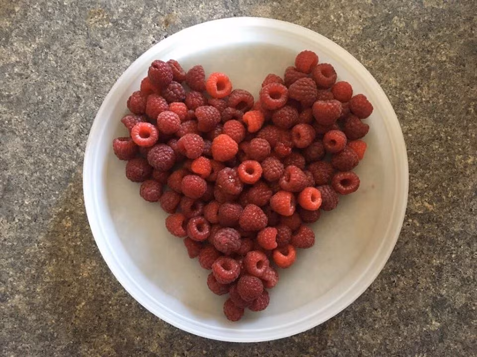 Khu vuon xanh muot cua co gai trong cay gi cung tot tuoi-Hinh-6