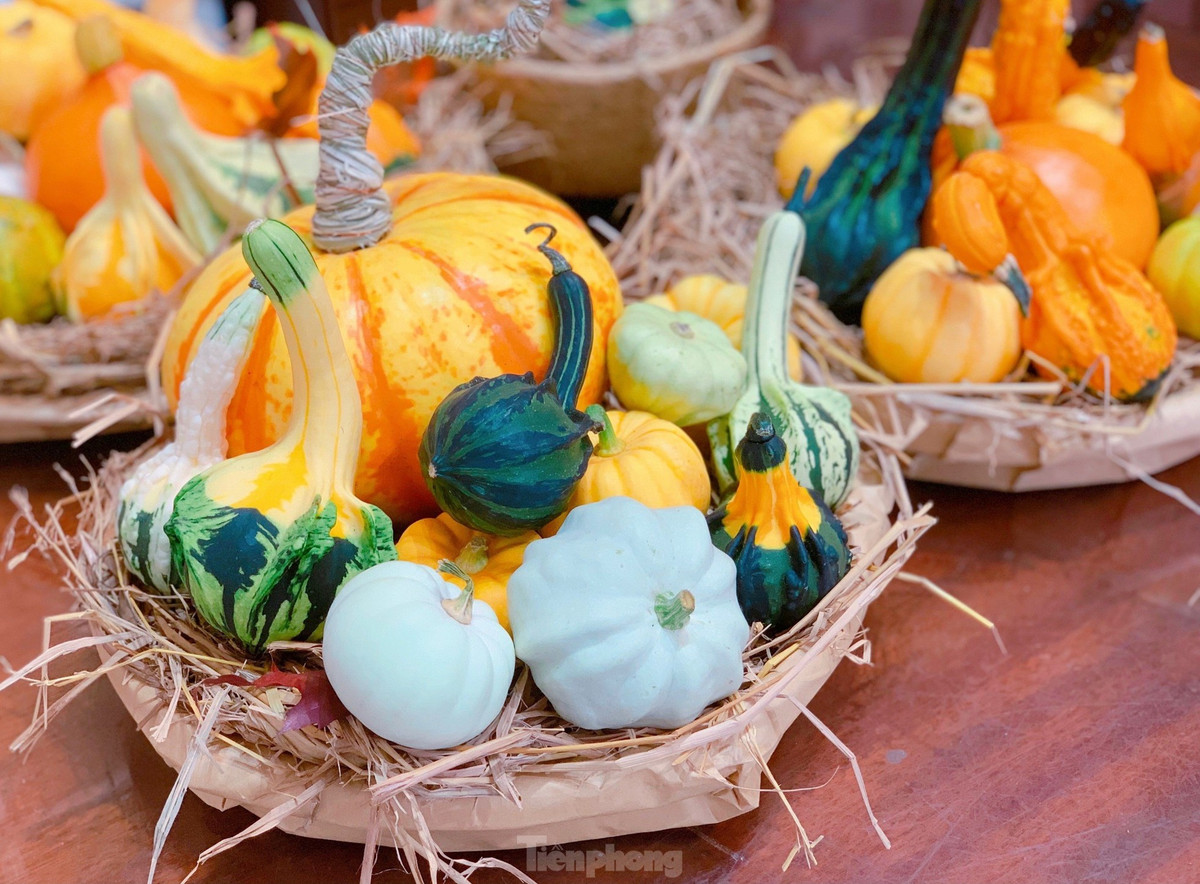 Những năm gần đây, xu hướng trang trí bí ngô dịp Halloween nở rộ. Năm nay, ngay từ đầu tháng 10, nhiều siêu thị, cửa hàng nông sản và trên chợ mạng đã tràn ngập bí ngô với đủ loại hình dáng, kích cỡ, màu sắc để phục vụ người dân muốn trang hoàng nhà cửa, cửa hàng sớm.