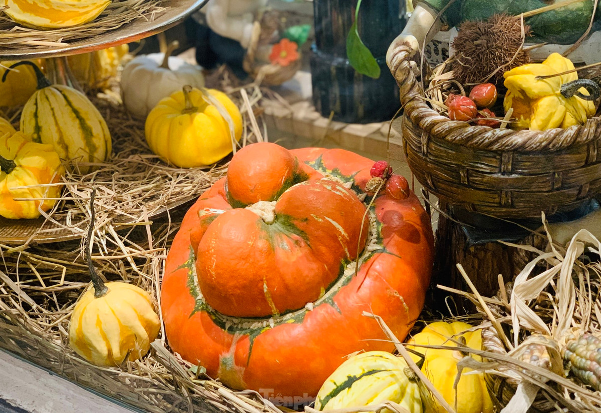 “Loại bí này có thể để được từ 3-6 tháng, lại không phải tưới hay chăm sóc gì nên chị em rất ưa chuộng. Người cầu kỳ thì làm hẳn một tiểu cảnh Halloween giống nước ngoài, còn không thì bày một giỏ hay mẹt bí theo kiểu truyền thống sẽ cảm giác mang sắc thu vào trong ngôi nhà”, chị cho biết thêm.