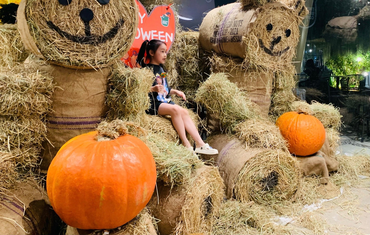 Tại một quán café tại Hà Nội, bí “khổng lồ” được trưng bày khiến các khách hàng thích thú check-in.