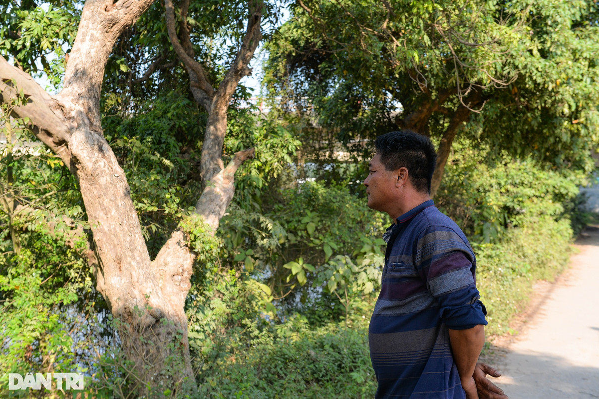 Nhiều người dân đau xót trước sự ra đi đột ngột của 3 bố con anh C. Theo thông tin từ Công an huyện Yên Mỹ (Hưng Yên), qua khám nghiệm tử thi không tìm thấy tác động ngoại lực.