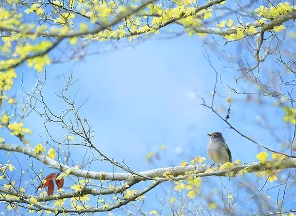 Mua dong nay, 4 con giap “than am, tim nong”, may man vay quanh