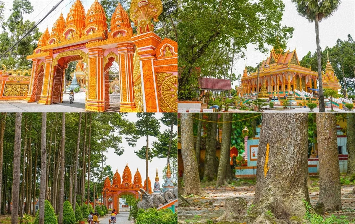 Ngôi chùa duy nhất ở Việt Nam được phủ kín hàng trăm cây sao cổ thụ Ngoi chua duy nhat o Viet Nam duoc phu kin hang tram cay sao co thu