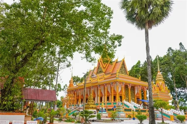 Ngôi chùa duy nhất ở Việt Nam được phủ kín hàng trăm cây sao cổ thụ - Hình 2 Ngoi chua duy nhat o Viet Nam duoc phu kin hang tram cay sao co thu-Hinh-2