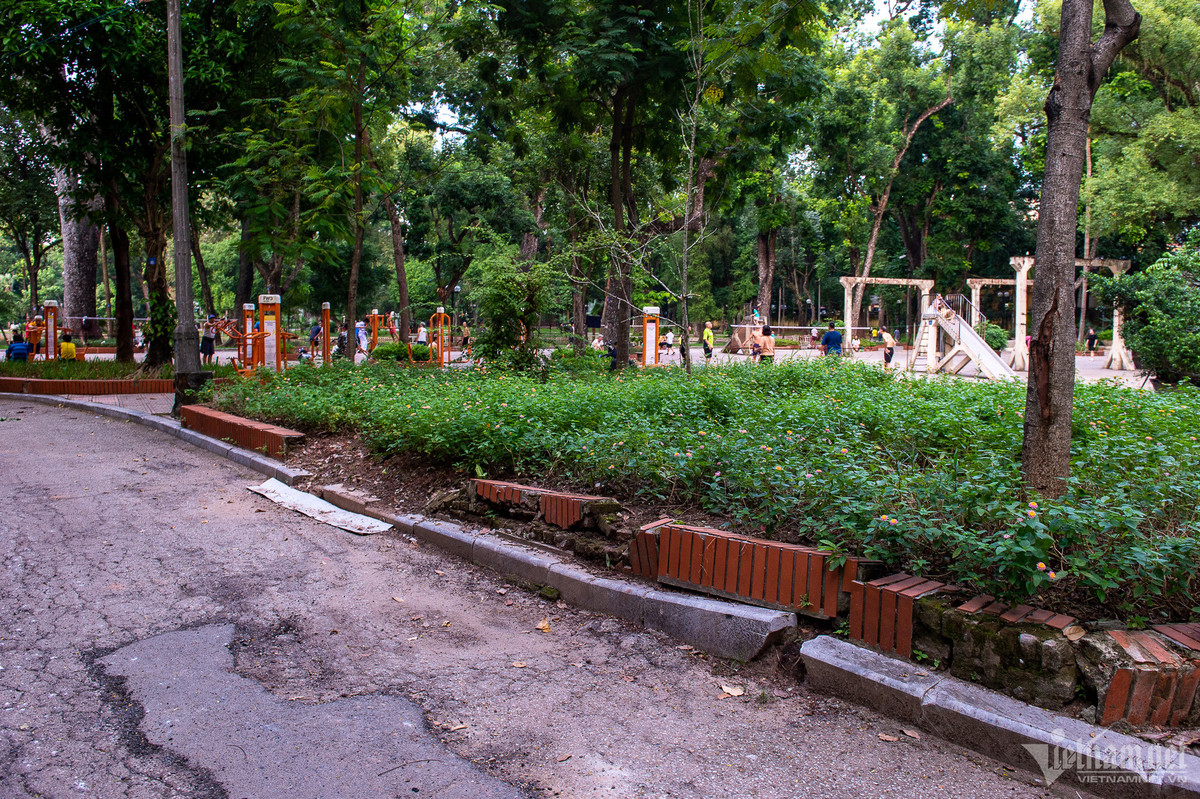 Đường thảm nhựa và bồn hoa ốp gạch đã không còn nguyên hình.