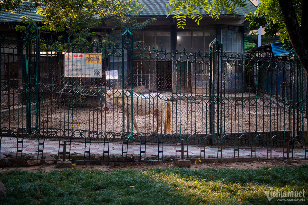 Cơ sở vật chất xuống cấp, một số chuồng thú nuôi nhốt sai động vật so với bảng giới thiệu. Trừ dịp nghỉ lễ thường luôn đông đúc, còn lại vào ngày thường hoặc thứ 7, chủ nhật nơi đây rất vắng khách.