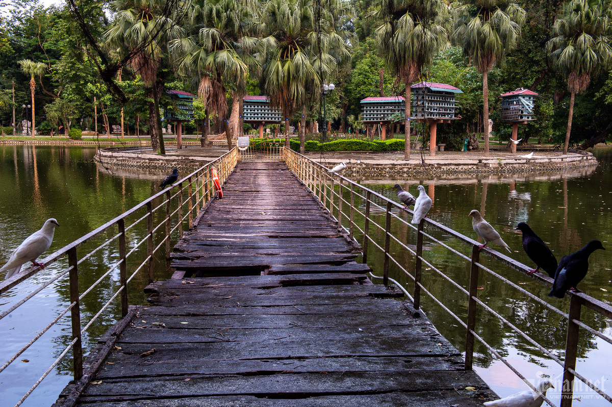 Cầu nối ra đảo tròn đã bị mục nát, xuống cấp và ngừng sử dụng.