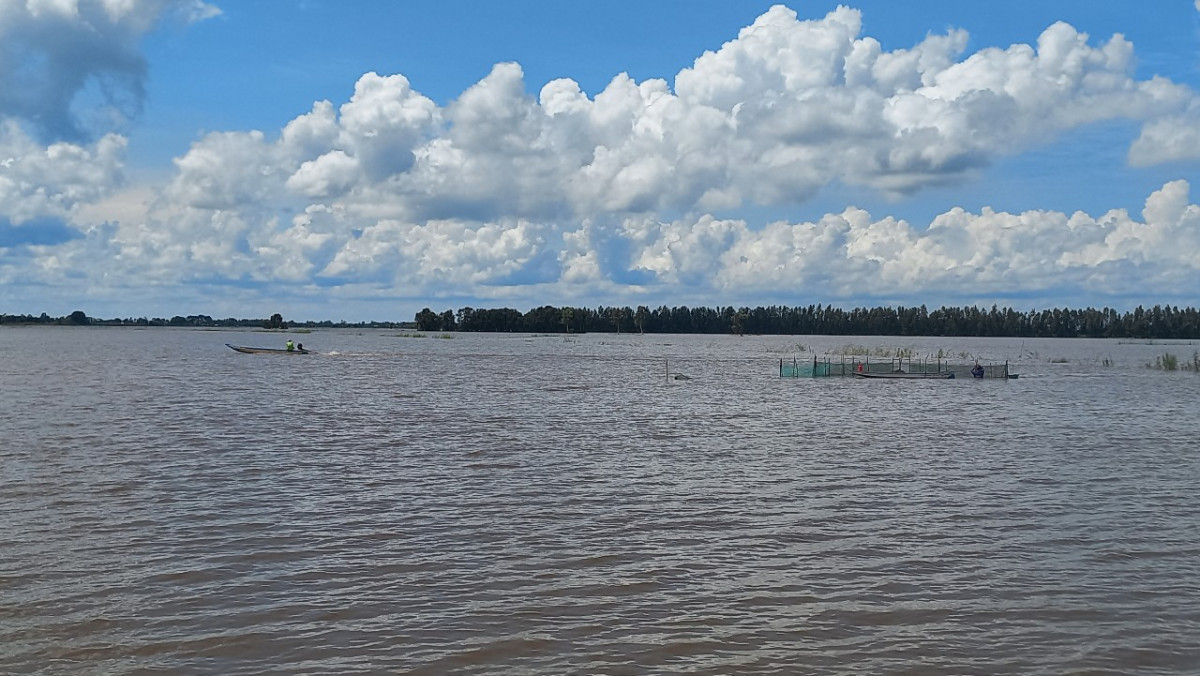 Nuoc lu ve nhieu, dan vung Dong Thap Muoi tap nap ra dong bat con gi? YAHOO 15