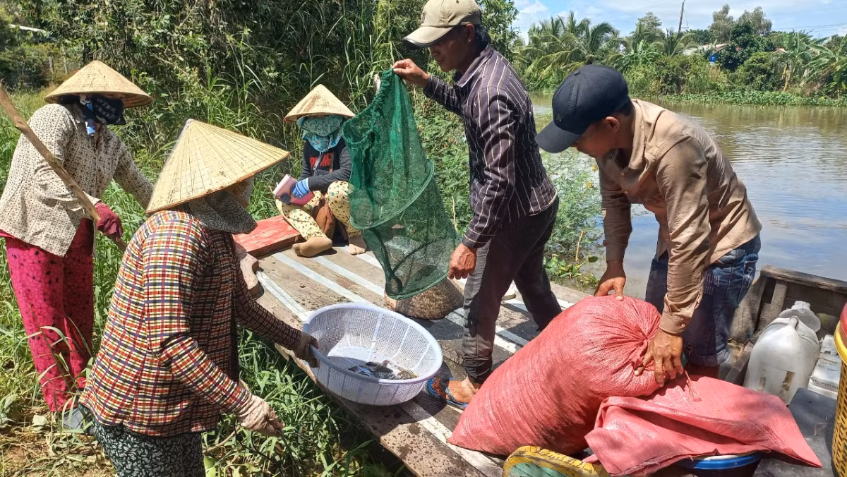 Nuoc lu ve nhieu, dan vung Dong Thap Muoi tap nap ra dong bat con gi? YAHOO 15-Hinh-4