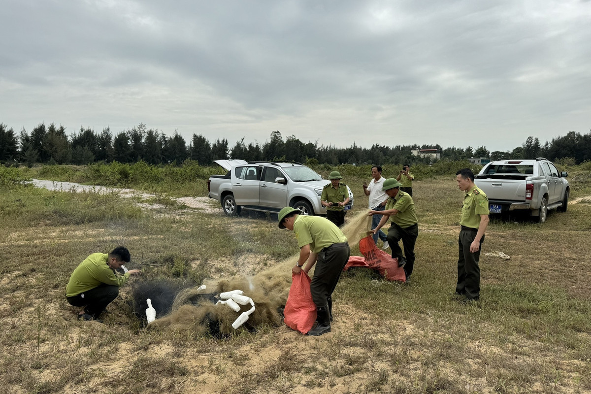 Từ tháng 9 đến nay, Hạt kiểm lâm ven biển Thanh Hóa tháo dỡ, tiêu hủy 19.280m lưới, 43 lều cò, 862 bẫy, 16 loa dẫn dụ, 1.230 cò xốp, 235 cọc tre, thả về tự nhiên 368 cá thể chim các loại. Đơn vị xử phạt 17 vụ vi phạm hành chính trong lĩnh vực Bảo vệ động vật rừng, thu nộp ngân sách 61 triệu đồng (Ảnh: Lực lượng chức năng cung cấp).