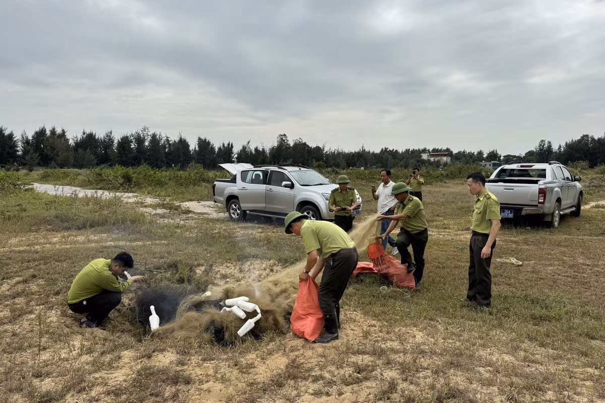 Từ tháng 9 đến nay, Hạt kiểm lâm ven biển Thanh Hóa tháo dỡ, tiêu hủy 19.280m lưới, 43 lều cò, 862 bẫy, 16 loa dẫn dụ, 1.230 cò xốp, 235 cọc tre, thả về tự nhiên 368 cá thể chim các loại. Đơn vị xử phạt 17 vụ vi phạm hành chính trong lĩnh vực Bảo vệ động vật rừng, thu nộp ngân sách 61 triệu đồng (Ảnh: Lực lượng chức năng cung cấp).