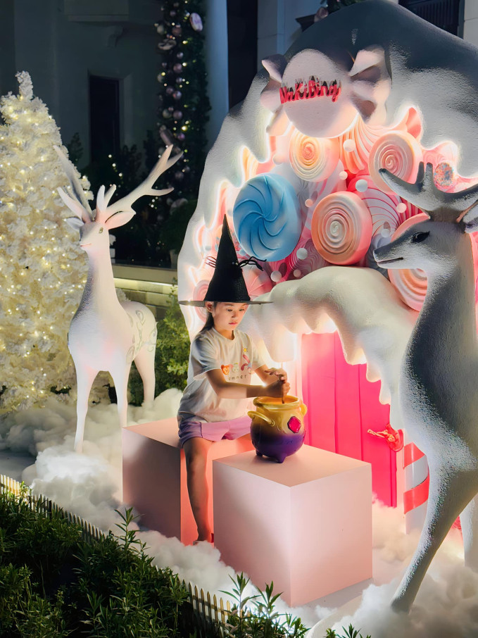 Dai gia quan 7 Doan Di Bang flex biet thu 22 ty mua Noel-Hinh-5