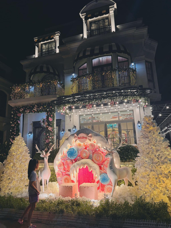 Dai gia quan 7 Doan Di Bang flex biet thu 22 ty mua Noel-Hinh-3