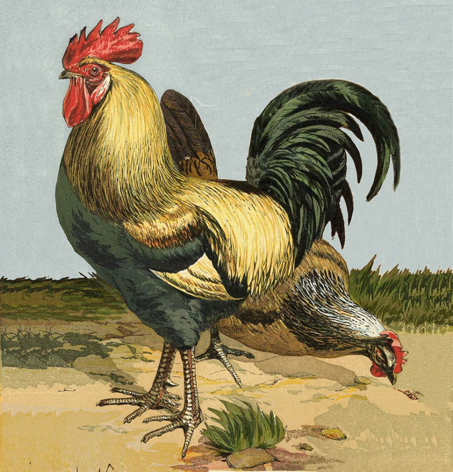 Tháng 9 Âm lịch năm nay, bắt đầu bước sang thu cũng là lúc số phận của họ đảo chiều, vận may đến liên tục, "vựa lúa" bắt đầu đầy lên.