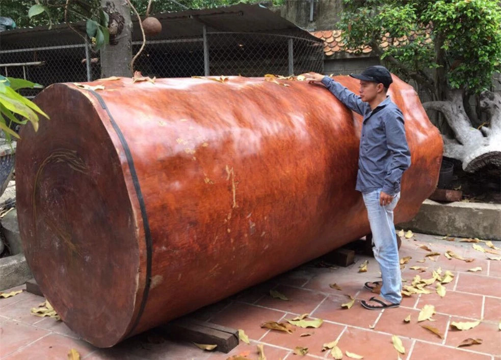 Khuc go quy 'nhu kim cuong' nang gan 8 tan duoc tra 4 ty-Hinh-3