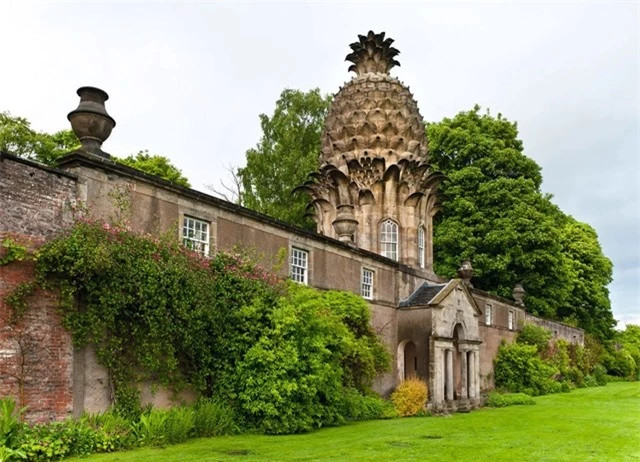 1 loai qua Viet tung la xa xi pham cua gioi quy toc Anh-Hinh-2