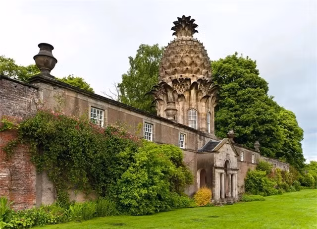 1 loai qua Viet tung la xa xi pham cua gioi quy toc Anh-Hinh-2