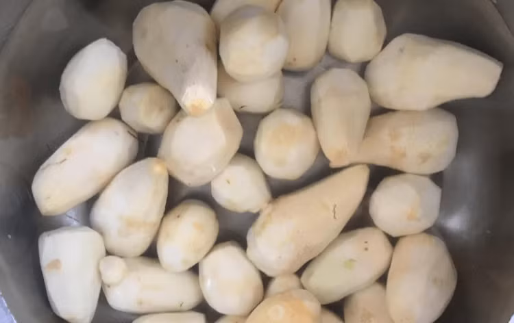 Loai cu xau xi, gia re cai thien he tieu hoa, ngua ung thu-Hinh-3