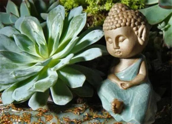 Ban luong thien nhung van bi bat nat thi can muon 'tu nang' nay-Hinh-3