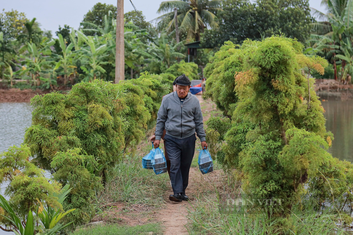 br/> Không chỉ cánh thương lái, ngay cả những thực khách đam mê món rươi cũng đến tận nơi để mua rươi.