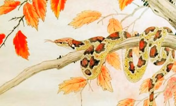 Ngay 24, 25 thang 12, ba con giap dem tien sai tay-Hinh-3