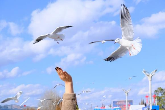 Lam the nao chim bo biet vi tri chinh xac de chuyen buc thu di?-Hinh-3