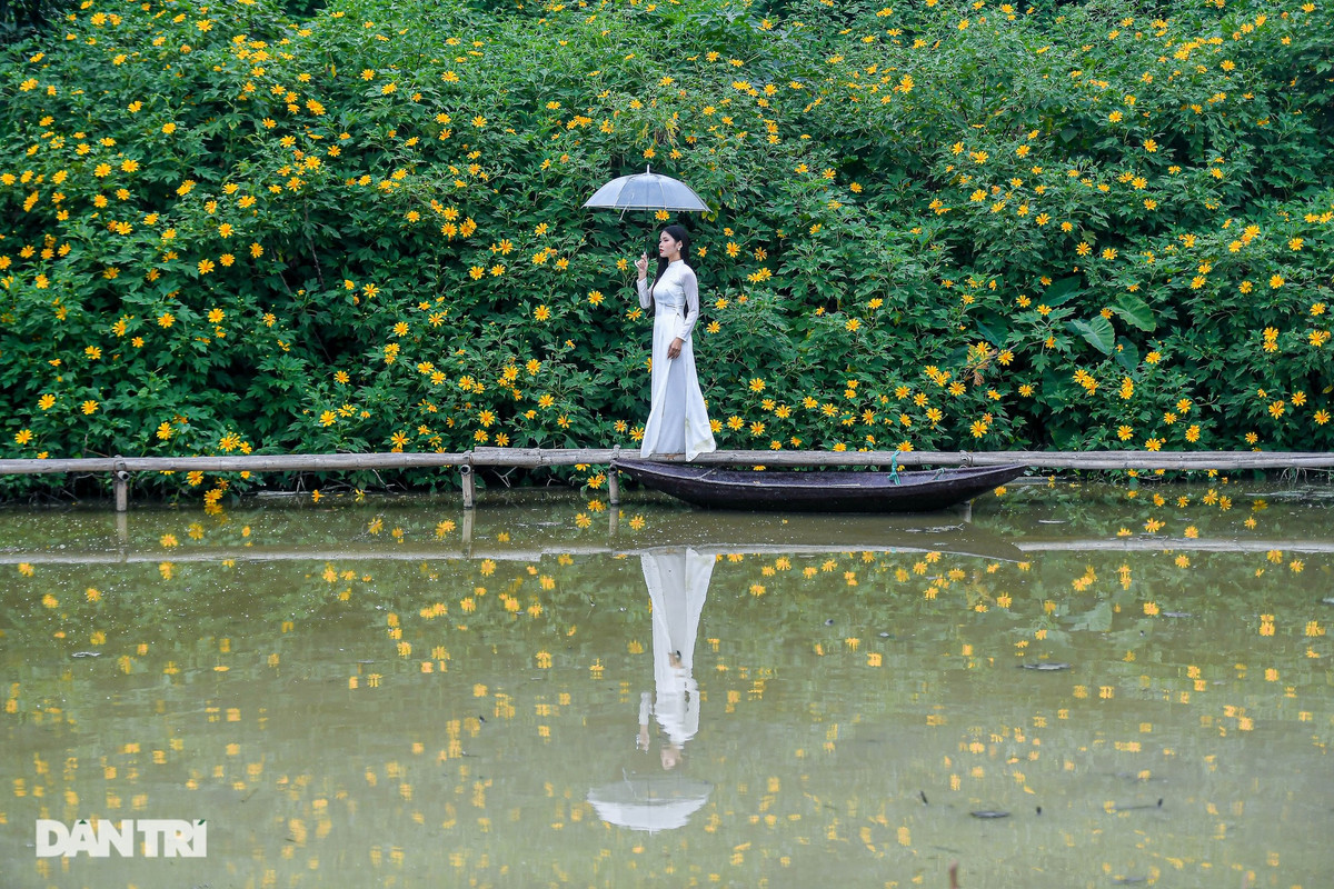 Thời điểm này, vườn dã quỳ thu hút nhiều người đến ngắm và chụp ảnh. Du khách đến đây thường chọn cách chụp ảnh ngồi hoặc đứng trên cầu để bức ảnh vừa có hoa, vừa có cảnh sông nước.