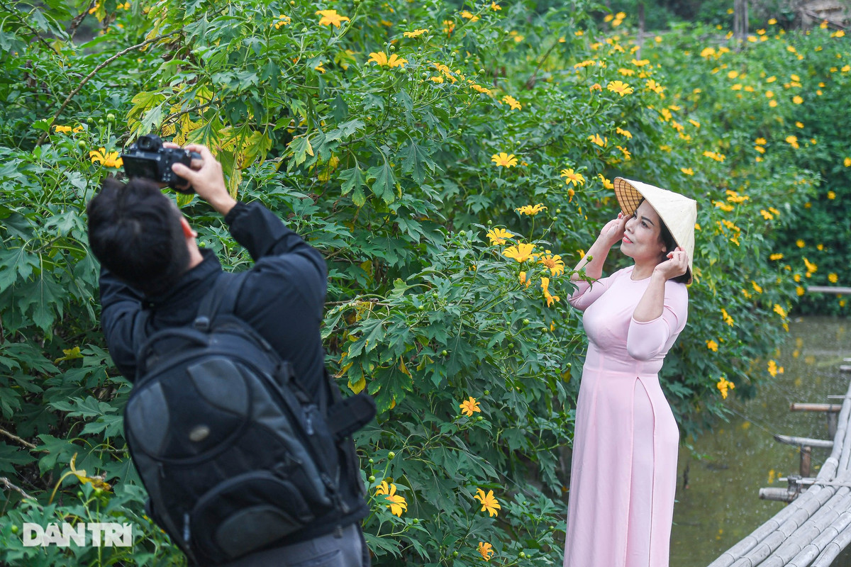 Nhiều nhiếp ảnh gia đã tới vườn hoa dã quỳ để ghi lại những hình ảnh đẹp nhất, chỉ có một mùa trong năm. Vé để vào chụp ảnh tại đây là 50.000 đồng/người. Từ thứ 2 đến thứ 6, học sinh, sinh viên được giảm giá còn 30.000 đồng/người.