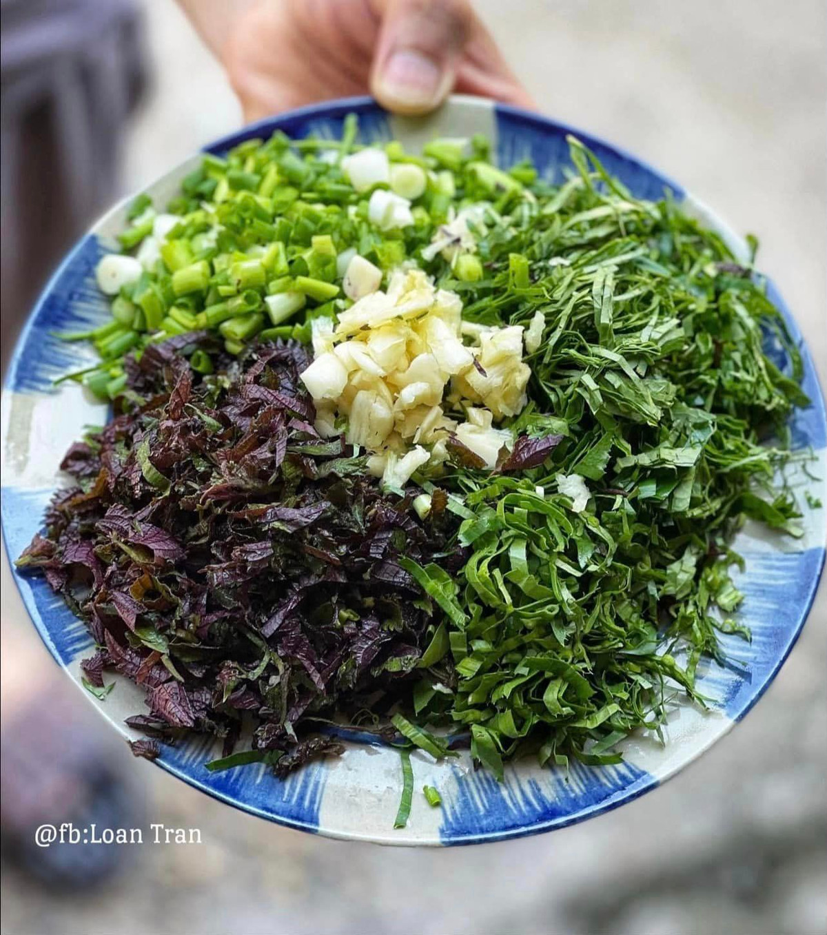 Loại cá toàn nhớt, nhiều người sợ, là thực phẩm quý “ông ăn bà vui” - Hình 2 Loai ca toan nhot, nhieu nguoi so, la thuc pham quy “ong an ba vui”-Hinh-2