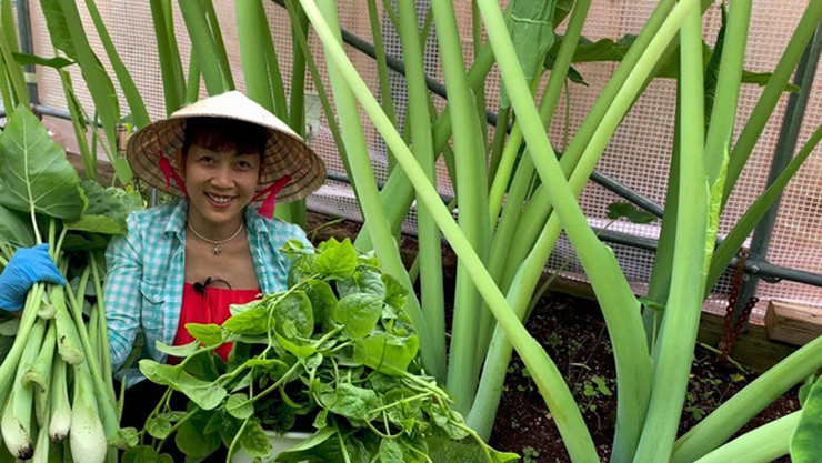 Cay dai moc khap ao ho nay hoa “mo vang”, ban 300.000/kg-Hinh-10