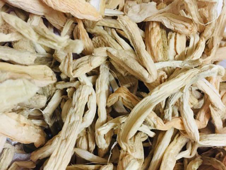 Cay dai moc khap ao ho nay hoa “mo vang”, ban 300.000/kg-Hinh-6