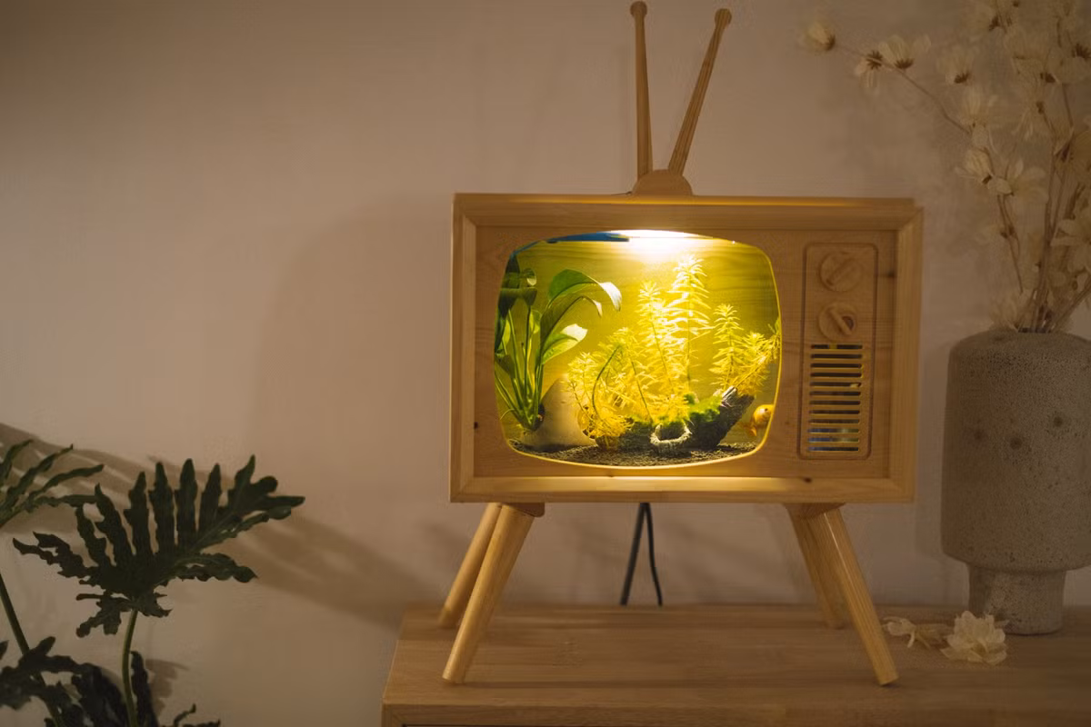 Co gai 27 tuoi mot minh cai tao can ho cu thanh noi dang song-Hinh-27