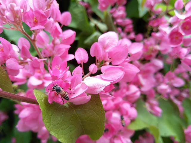 Kho khan den may cung lac quan, 3 con giap lam an phat dat-Hinh-2