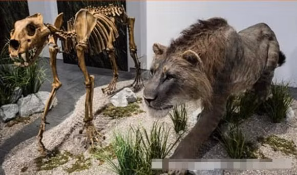 Cac nha khoa hoc dang co gang mang lai 9 loai da tuyet chung-Hinh-5