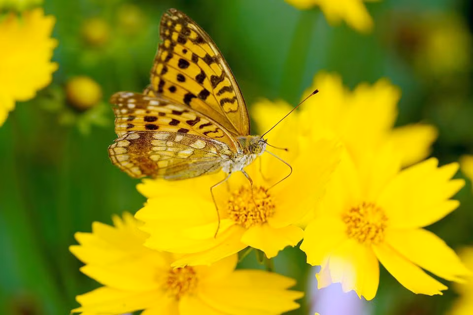 Nguoi sinh gio nay dam nghi dam lam, may man, gap du hoa lanh-Hinh-3