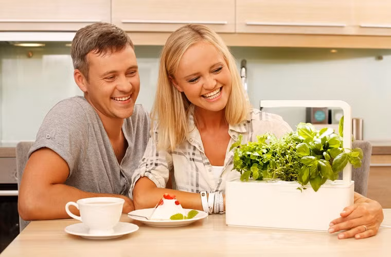 Bạn có thể trồng các loại thảo mộc và gia vị yêu thích ở nhà mà không cần lo lắng về vấn đề chăm sóc cho cây với dụng cụ này. Smart Herb Garden có thể gắn lên tường hoặc tận dụng bất cứ không gian nào trong nhà, khắc phục yếu điểm của việc thiếu diện tích sân vườn trồng cây.