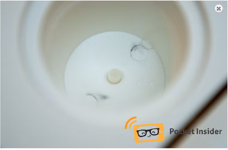 Trên các hộp đựng dưỡng chất cho cây có một mái vòm nhựa, để tăng hiệu ứng nhà kính, hấp thu ánh sáng, giữ độ ẩm và sự ấm áp - chìa khóa để giúp hạt nảy mầm.