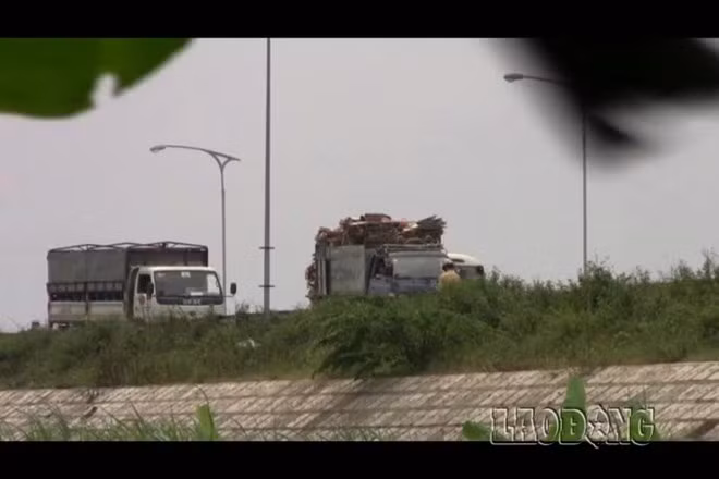 Nhóm PV cũng phải ngụy trang rất kỹ mới ghi được những hình ảnh này.