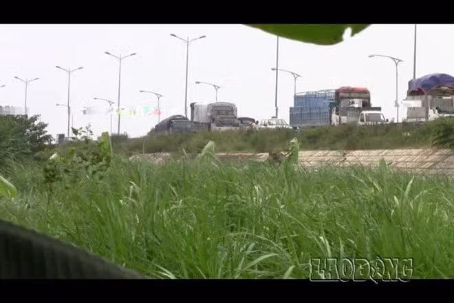 Theo ghi nhận tại quốc lộ 1B, hướng Lạng Sơn - Hà Nội thuộc địa bàn quản lý của Đội cảnh sát giao thông số 5 (PC67 Hà Nội), thời gian qua, việc tác nghiệp của các đồng chí CSGT tại đây có biểu hiện rất "khác thường" như: Chỉ cần làm việc với phụ xe mà không cần quan tâm đến tài xế lái xe, xe vi phạm về hàng hóa cồng kềnh mà chỉ kiểm tra giấy tờ rồi cho qua... hay là tốc độ kiểm tra siêu tốc chưa đầy 25 giây là đã hoàn tất cả quy trình dừng xe, kiểm tra giấy tờ rồi đi... Trong ảnh là dàn xe dừng hàng loạt.