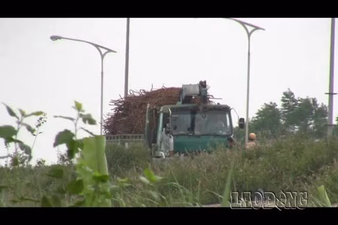 Những xe chở hàng hóa có thể rơi ra đường cũng chỉ kiểm tra qua loa giấy tờ.