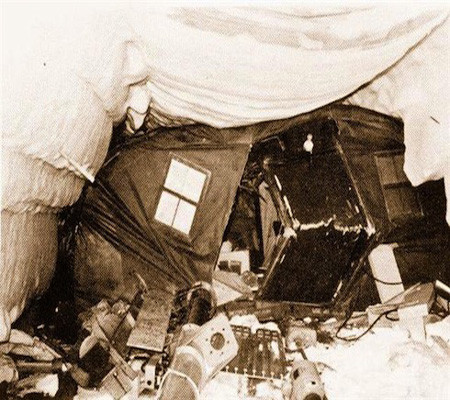 Ba năm sau khi bị bỏ hoang.