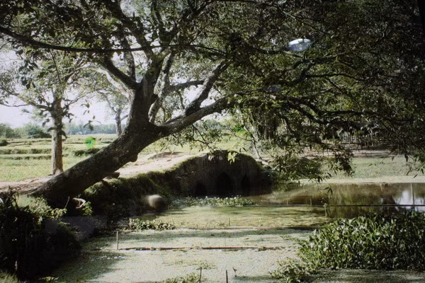 Khung cảnh làng quê ven Hà Nội.