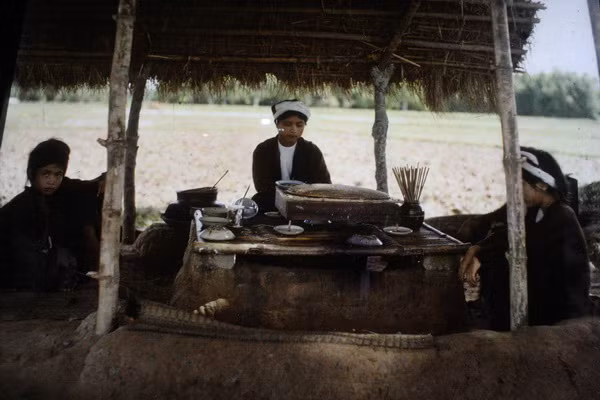 Quán ăn giữa cánh đồng.