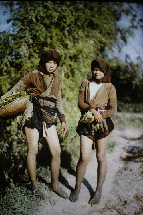 Hai thôn nữ vừa đi hái rau muống về.