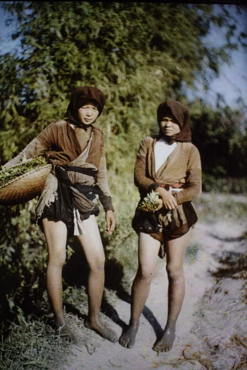 Hai thôn nữ vừa đi hái rau muống về.