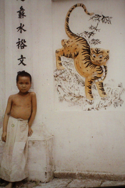 Chú bé đứng bên phù điêu hổ (trước cổng đền Vĩnh Thụy).