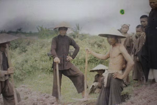 Những người phu bốc mộ.