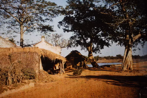 Dọc đường, ven làng, gần Hà Nội.