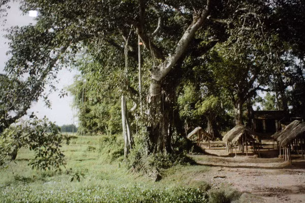 Một góc chợ Định Công.