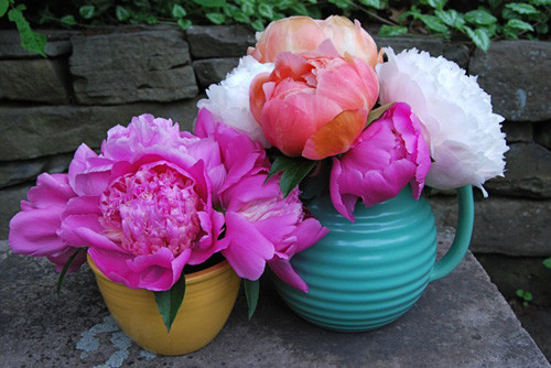 1. Hoa mẫu đơn – Biểu tượng cho sự sang trọng, quý phái và hấp dẫn: Người không những mong muốn thêm người, thêm của mà còn một điều mong ước nữa thường được thể hiện trong các câu chúc tụng nhau – đó là phú quý. Vì vậy, nhiều người thích trồng hoa cảnh hoặc cắm hoa trong nhà, một số loài hoa không những được người đời ưa thích mà còn coi đó là biểu tượng của phú quý, giàu sang, ví dụ hoa mẫu đơn.